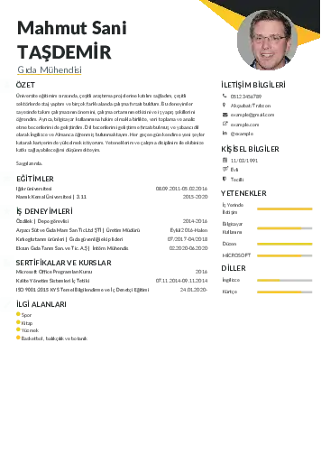 Gıda Mühendisi CV Örnekleri cv indir